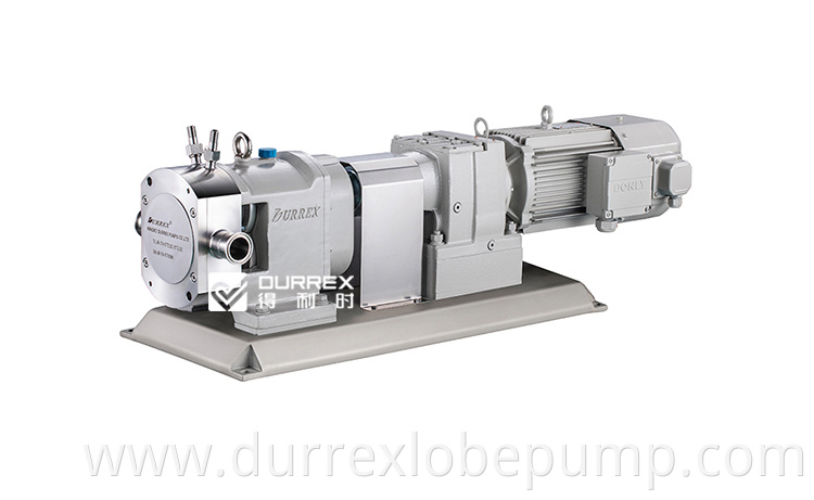 Syrup Transfer Pump